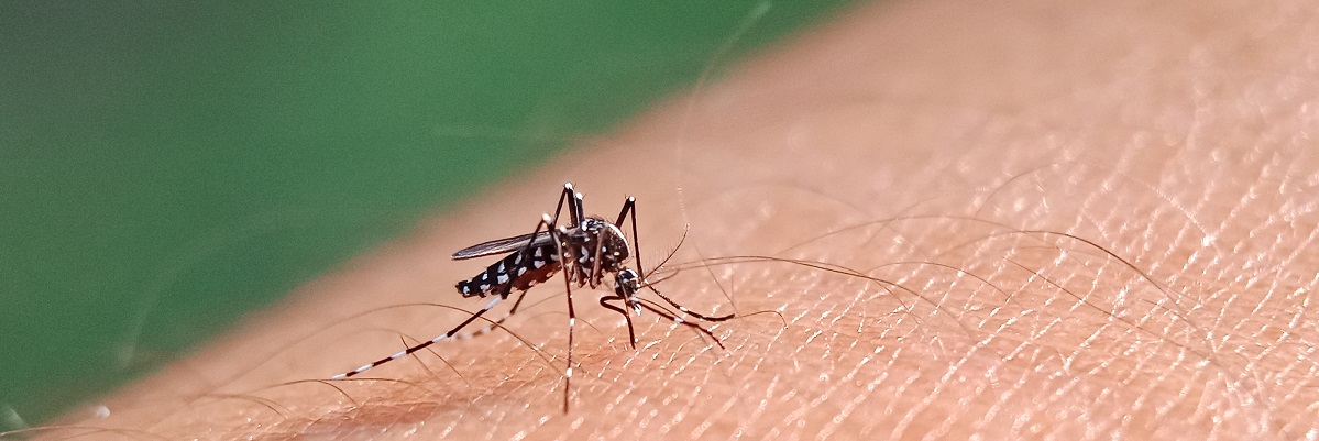 Actualización en dengue, Zika y Chikunguña