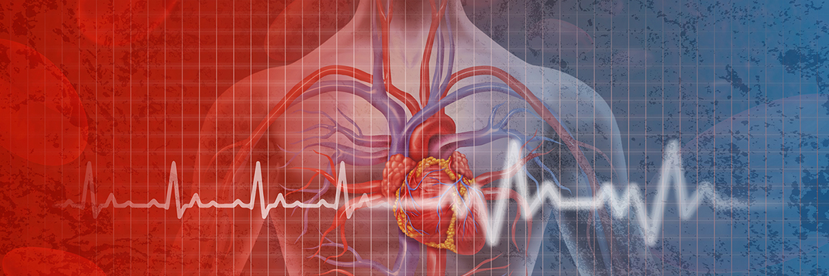 ACCSAP Programa de Actualización en Cardiología Clínica